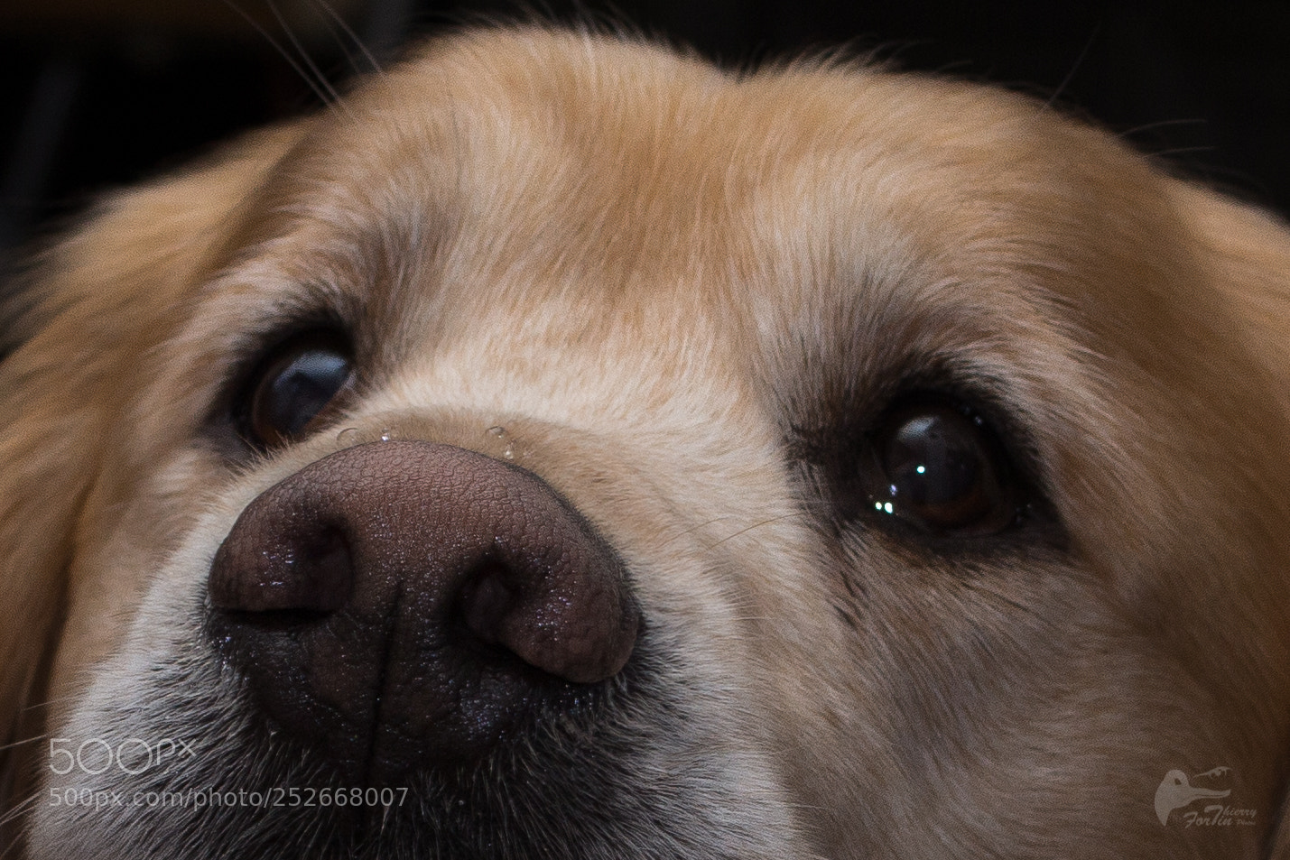 Canon EOS 700D (EOS Rebel T5i / EOS Kiss X7i) sample photo. Sim photography