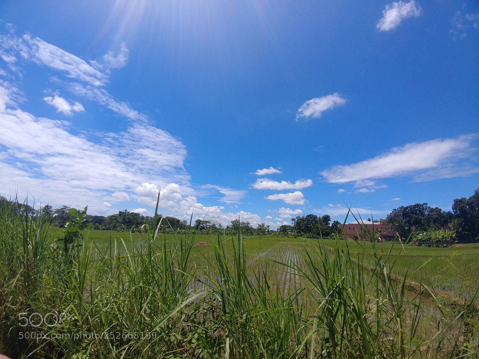 LG V20 sample photo. Untitled photography