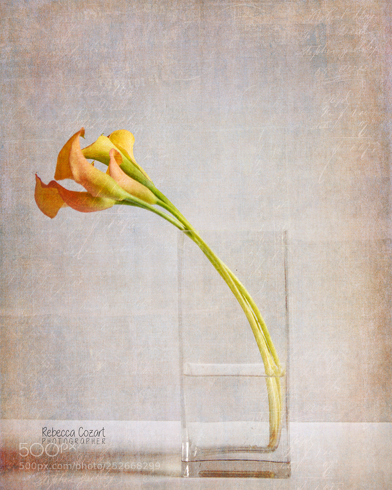 Canon EOS 5D Mark IV sample photo. Calla lilies in vase photography