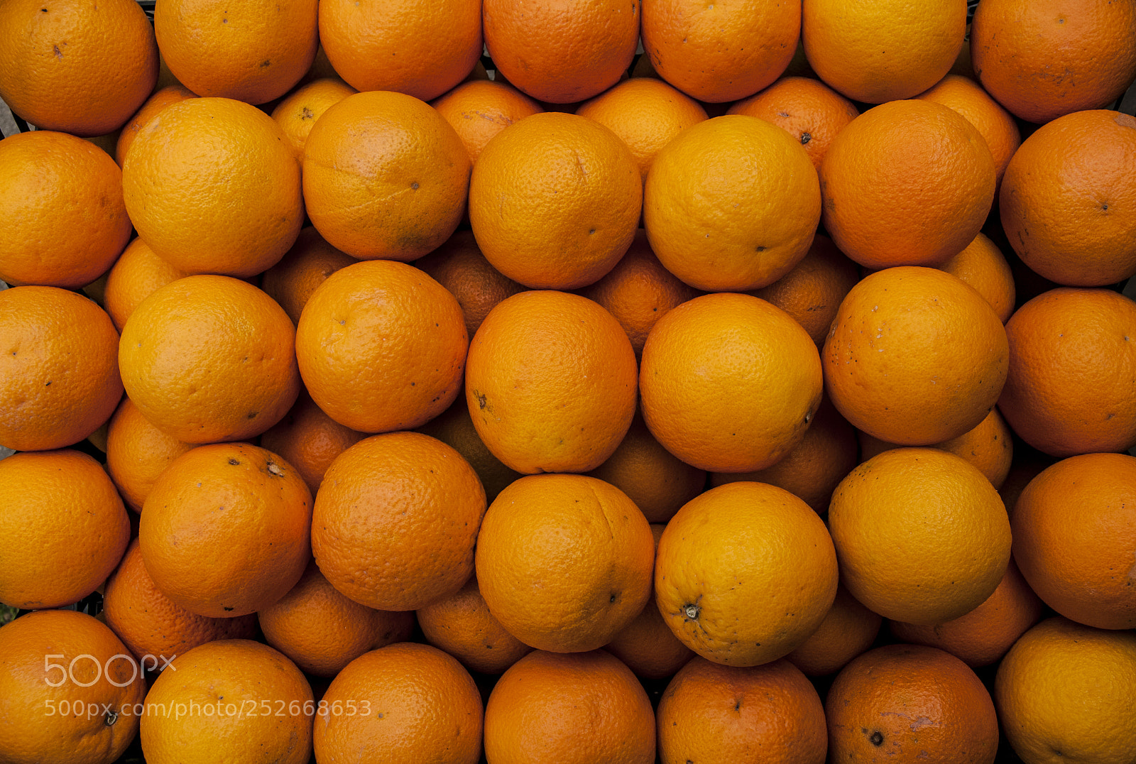 Nikon D300S sample photo. Oranges photography