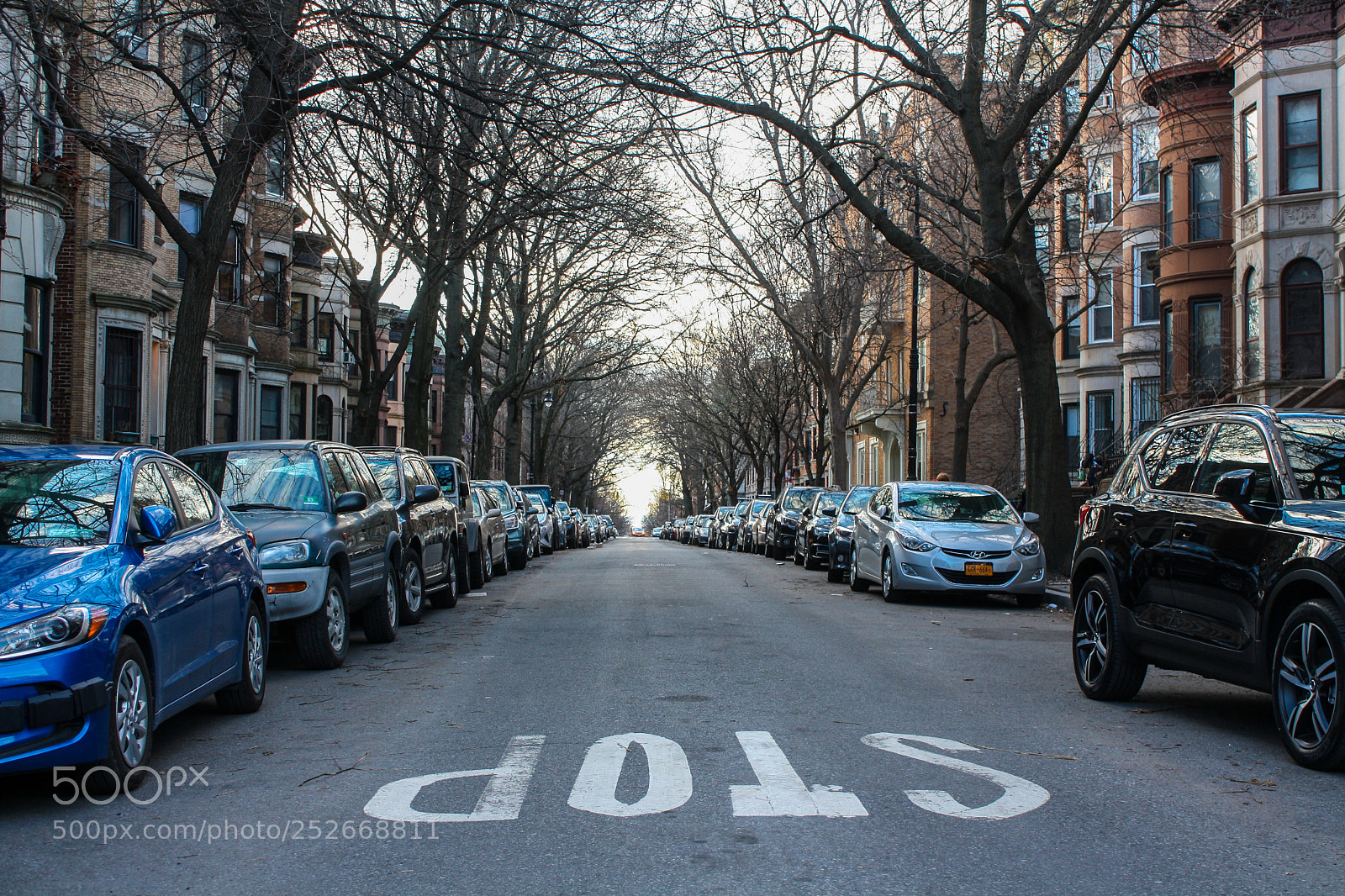 Canon EOS 1000D (EOS Digital Rebel XS / EOS Kiss F) sample photo. Park slope, march 2018 photography
