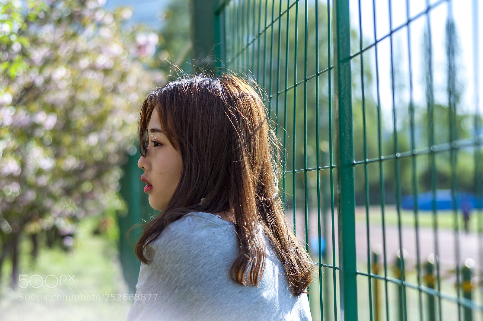 Nikon D90 sample photo. Untitled photography