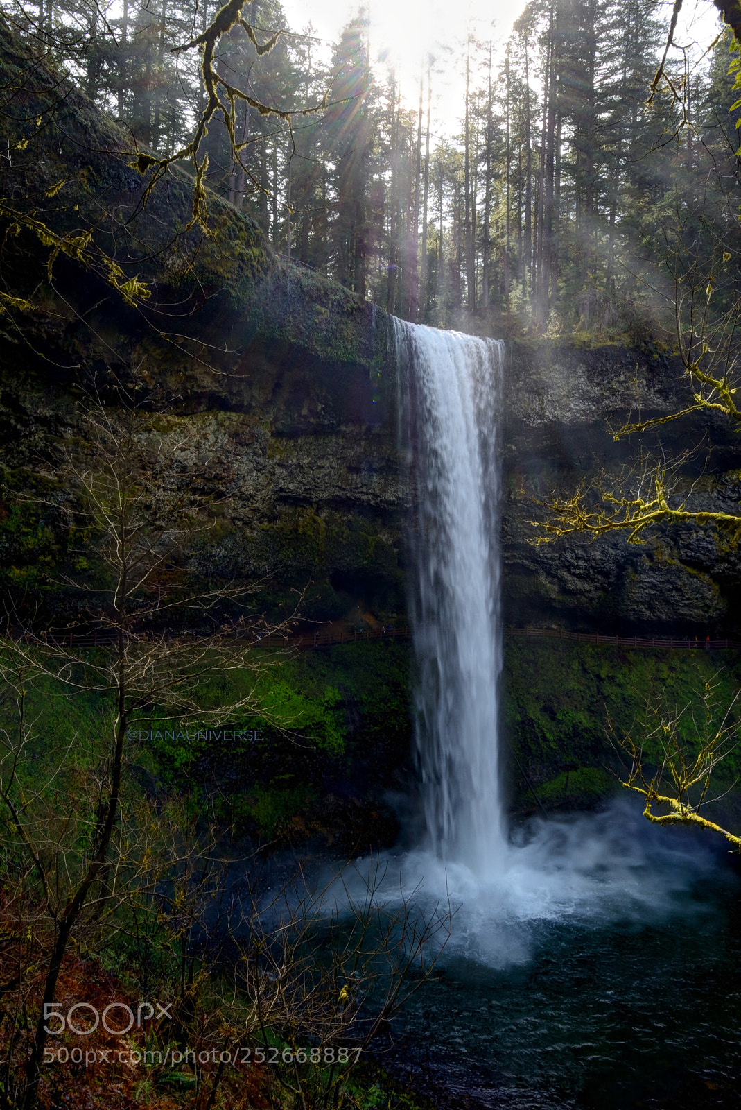 Nikon D7100 sample photo. The love of light photography