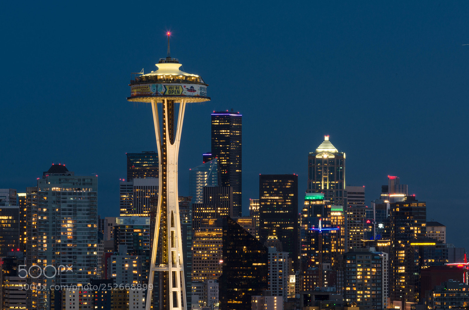 Nikon D5100 sample photo. Space needle photography