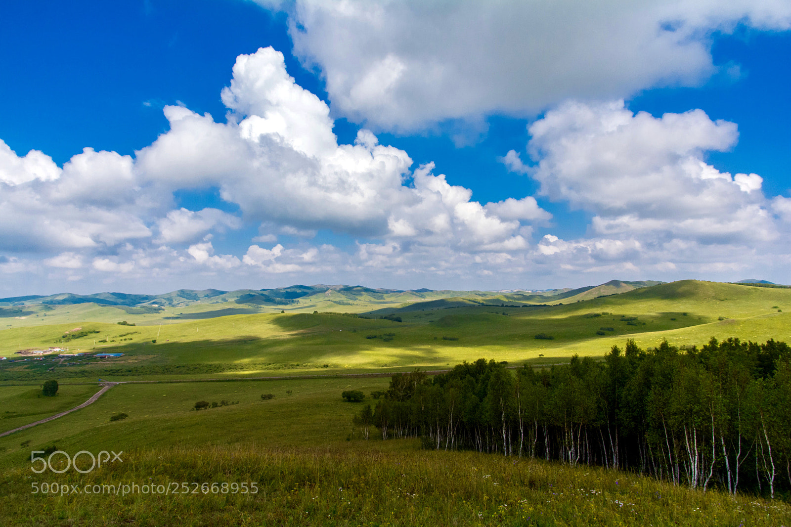 Nikon D7100 sample photo. Grassland photography