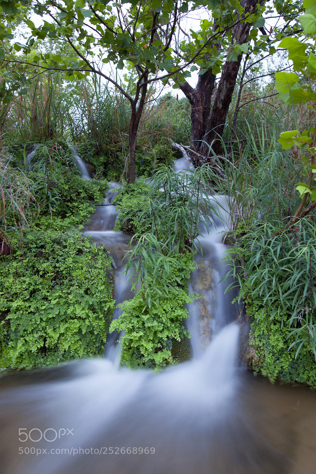 Canon EOS 5D Mark II sample photo. Texas hole photography