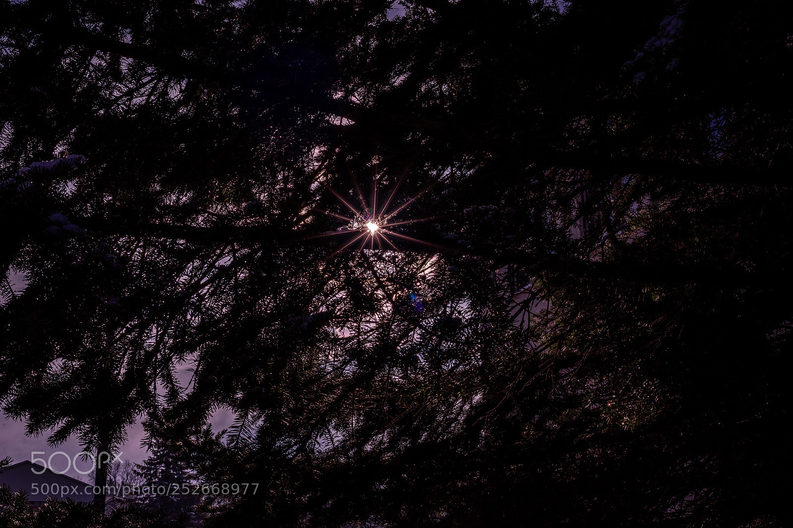 Sony a7 II sample photo. Sunshine photography