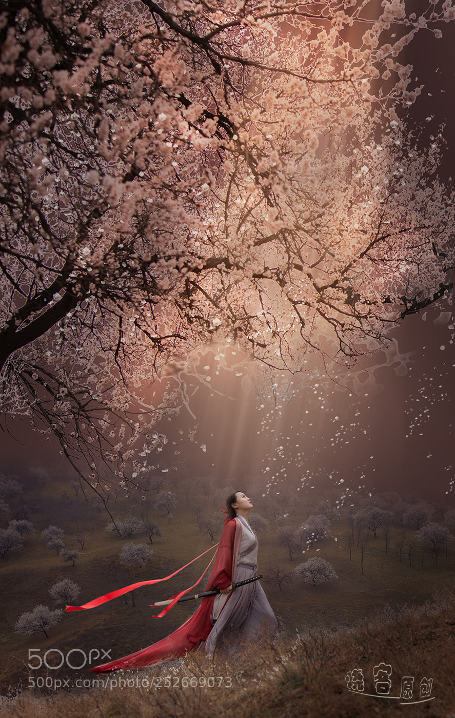 Canon EOS 5D Mark II sample photo. 杏花林 photography