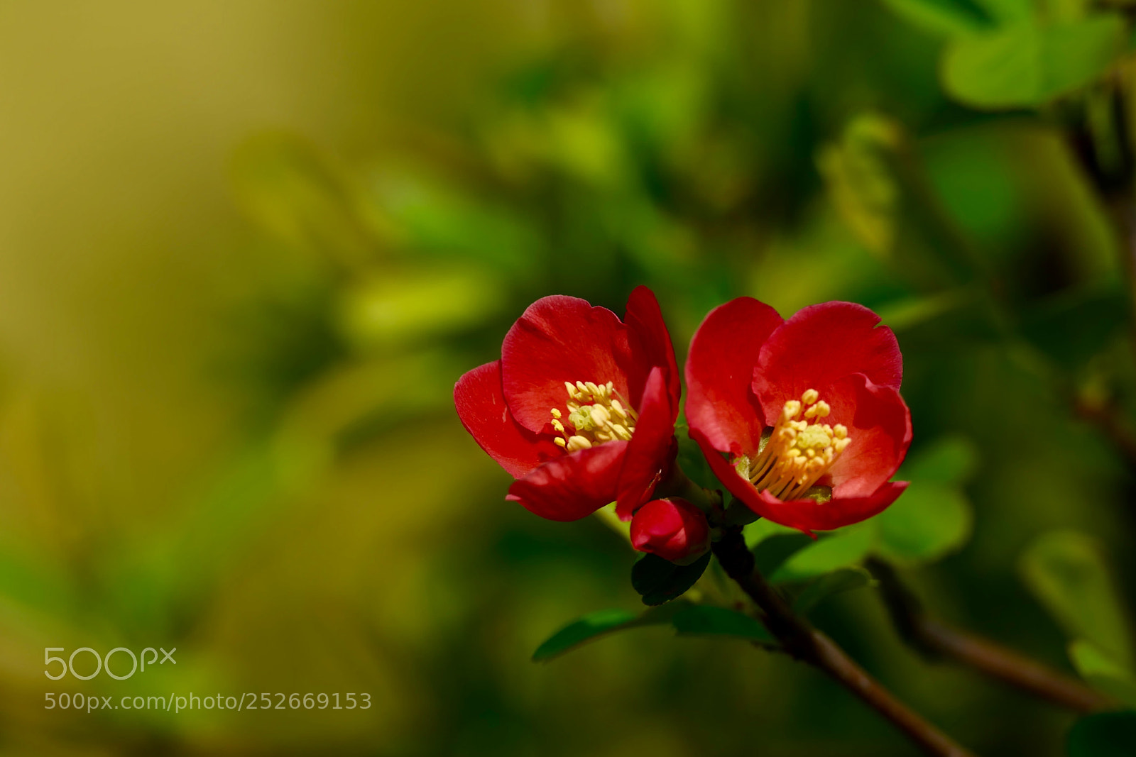 Leica SL (Typ 601) sample photo. Untitled photography