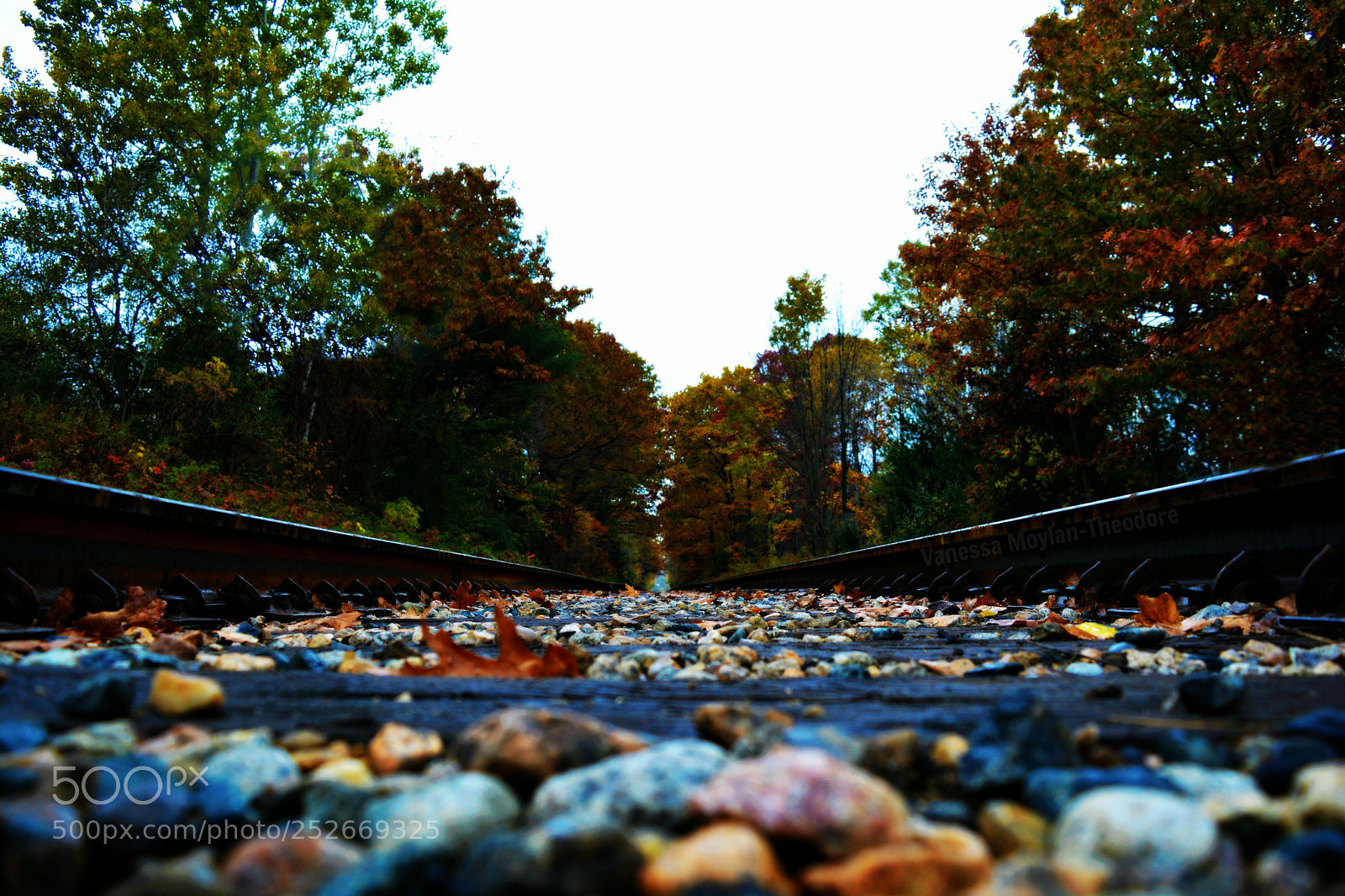 Nikon D5200 sample photo. Down a lonely path photography