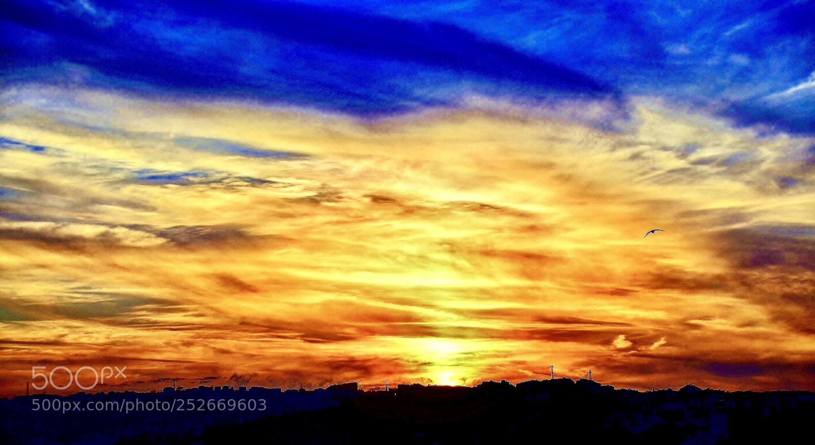 Nikon D7000 sample photo. Sunset photography