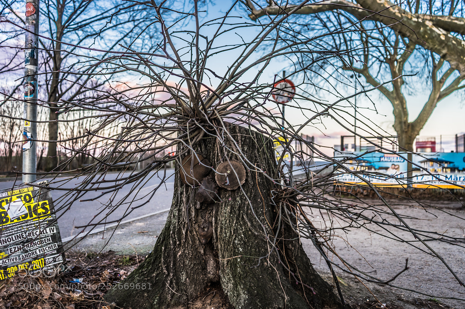 Sony a7 II sample photo. Someone had fun photography