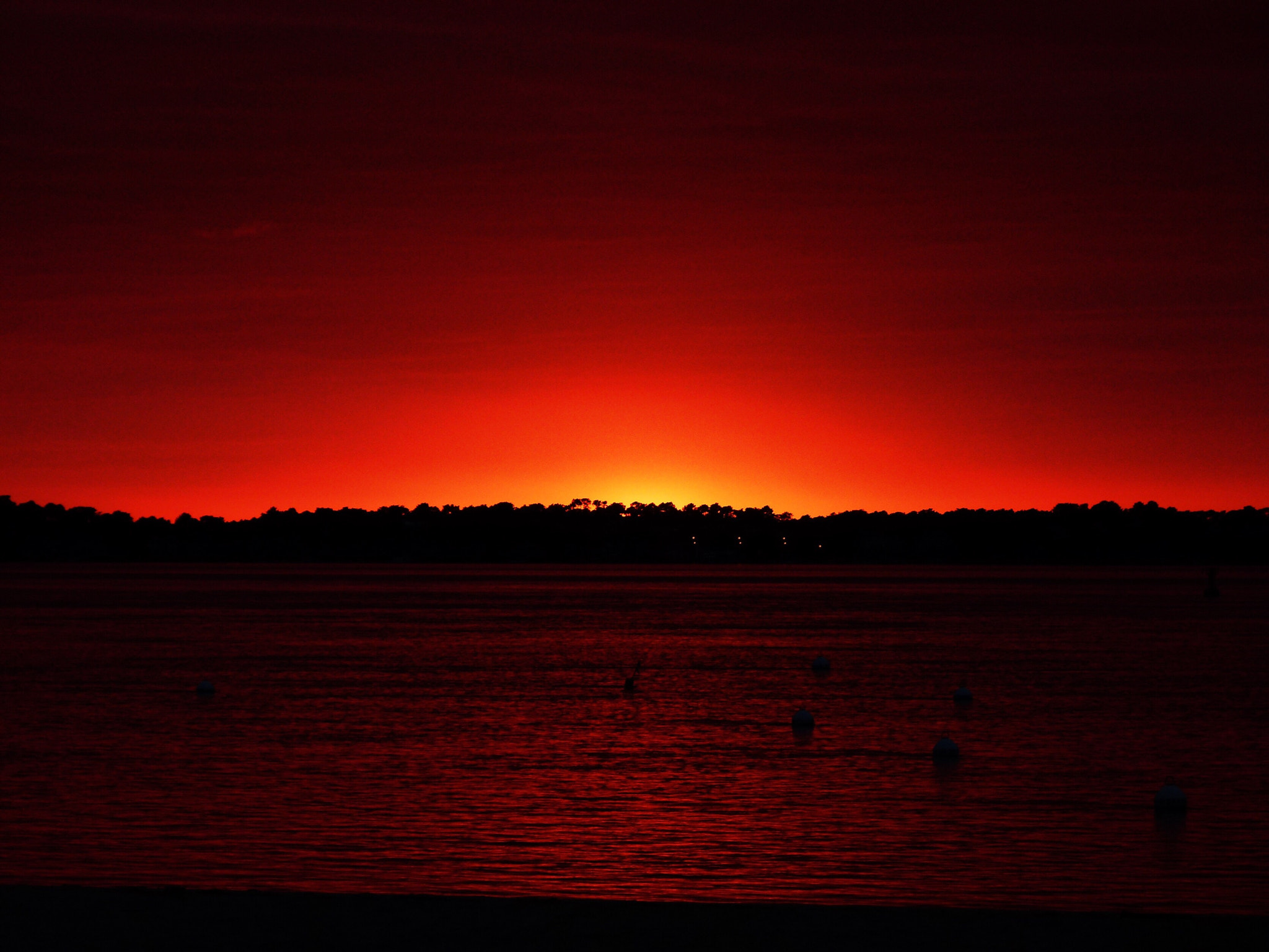 Leica V-Lux 2 sample photo. Sunset on the jungle photography