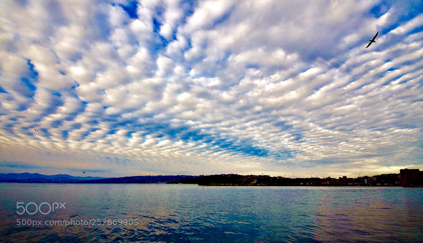 Nikon D7000 sample photo. Cloudy day photography