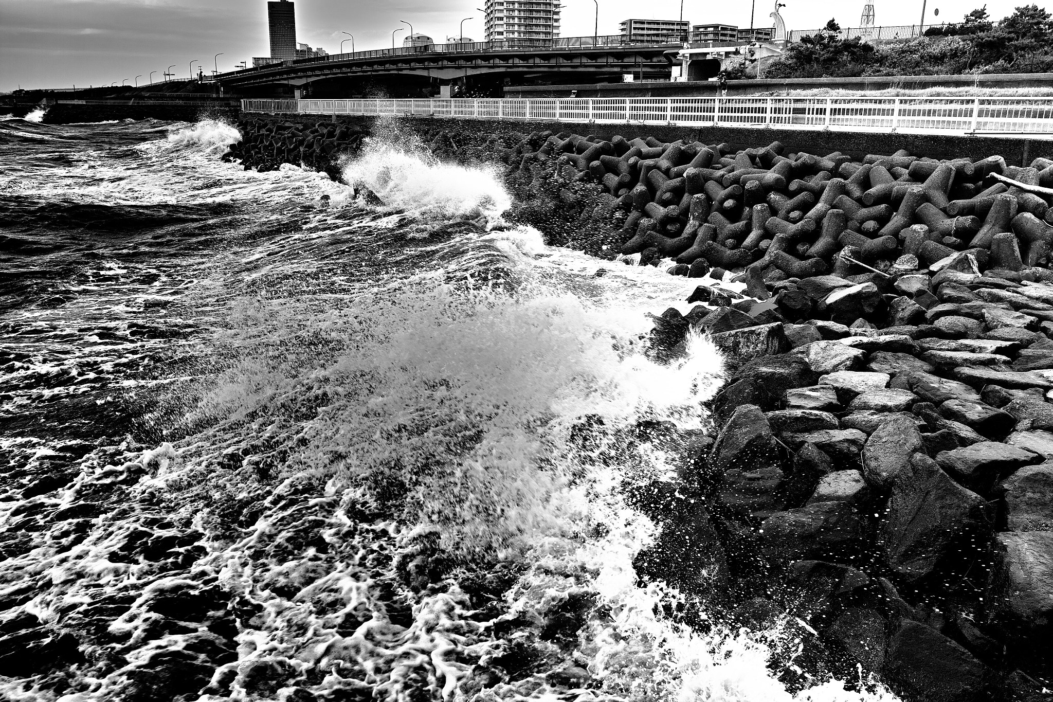 Sigma DP1 Merrill sample photo. Collision photography