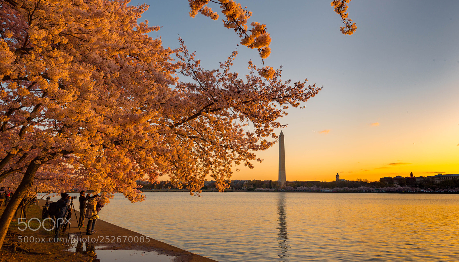 Nikon D800 sample photo. Morning golden ray photography