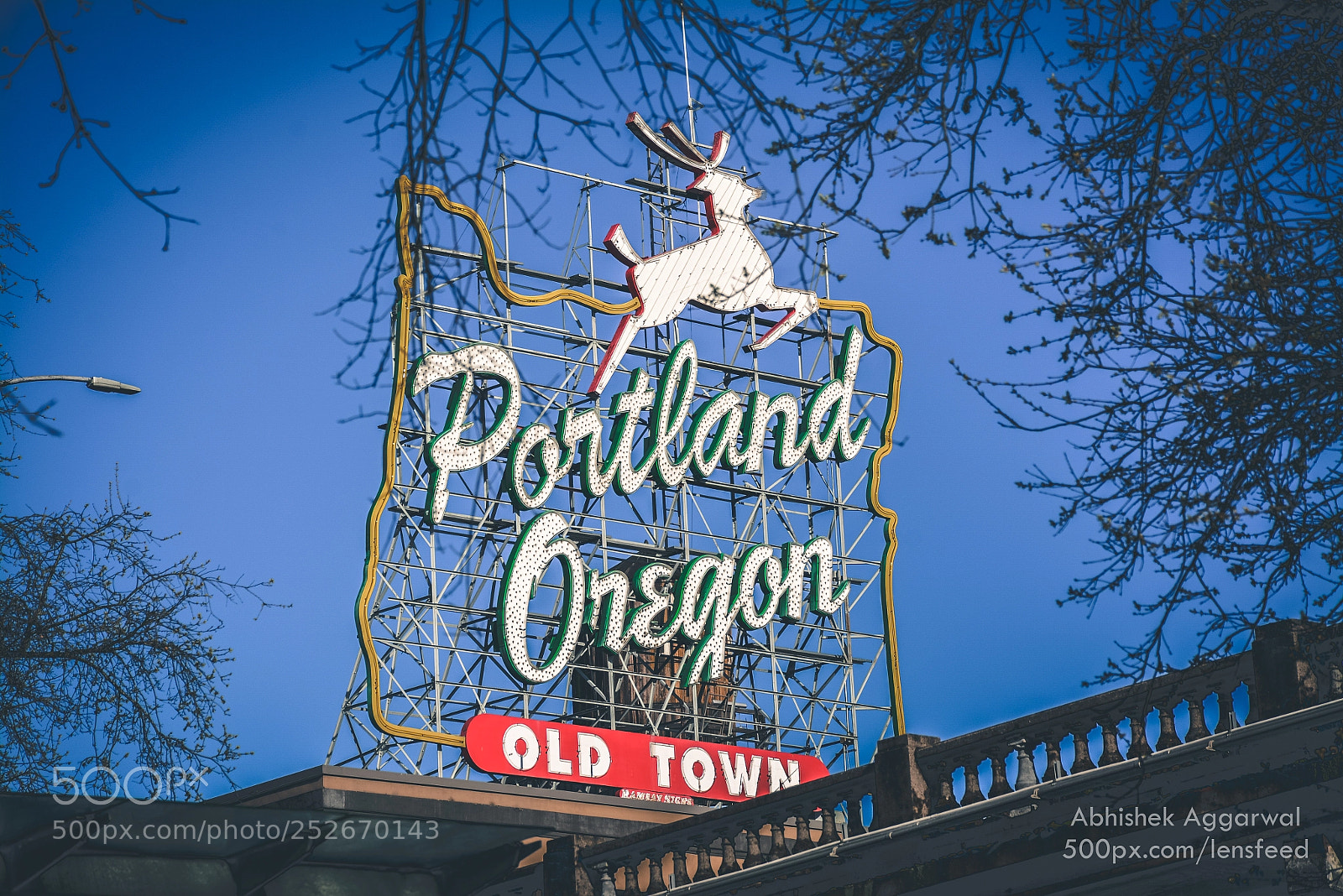 Nikon D7100 sample photo. Portland oregon white stag photography