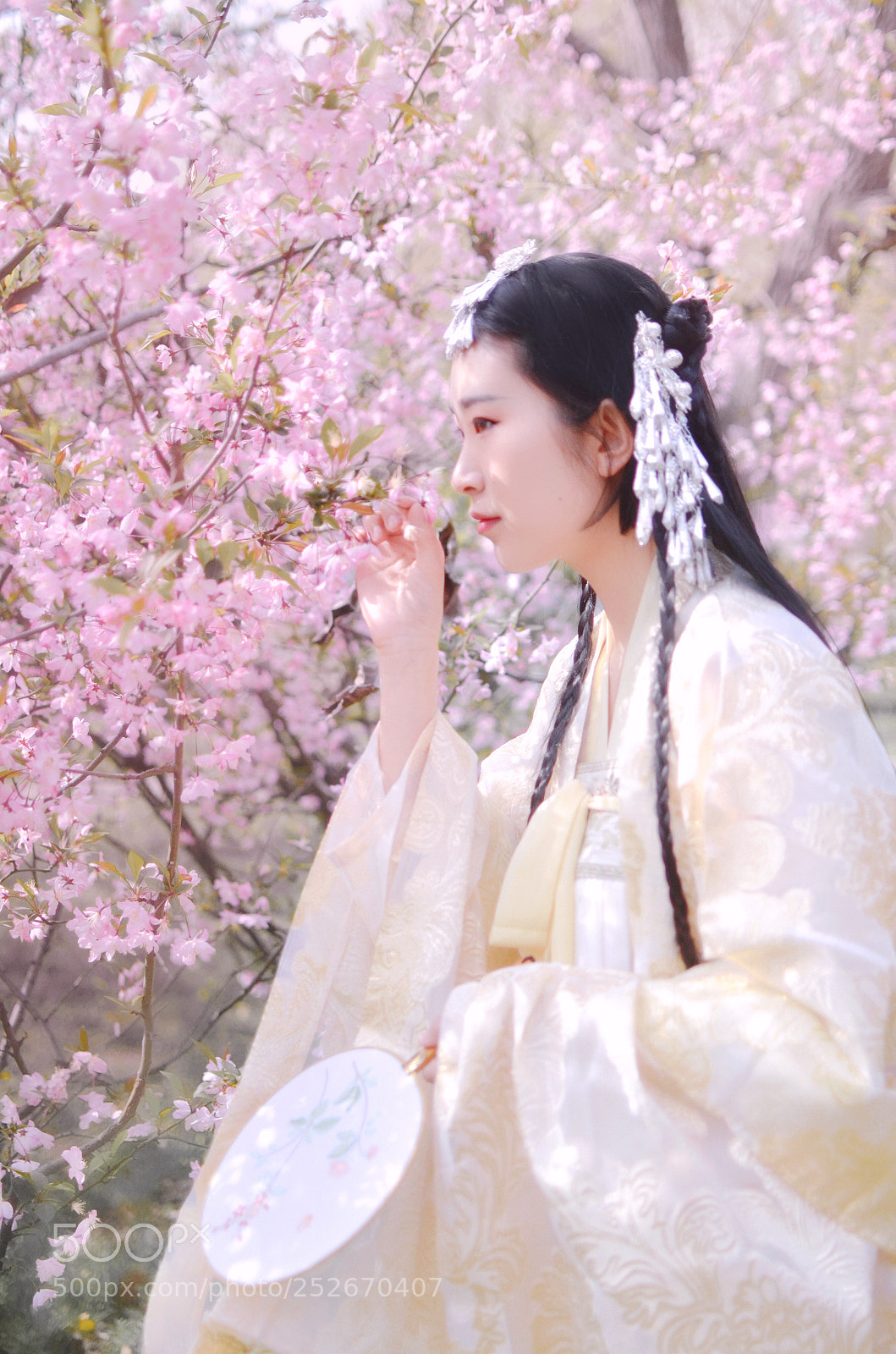 Nikon D7000 sample photo. 樱花树下 photography