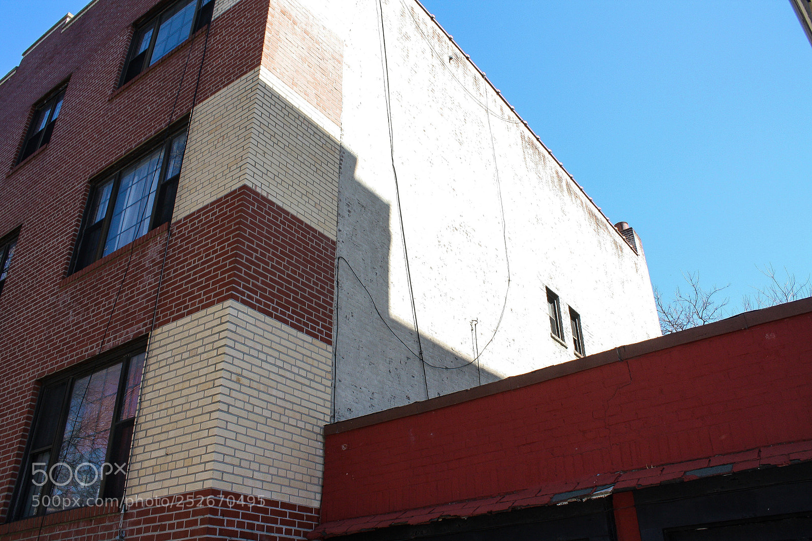Canon EOS 1000D (EOS Digital Rebel XS / EOS Kiss F) sample photo. Brooklyn, march 2018 photography