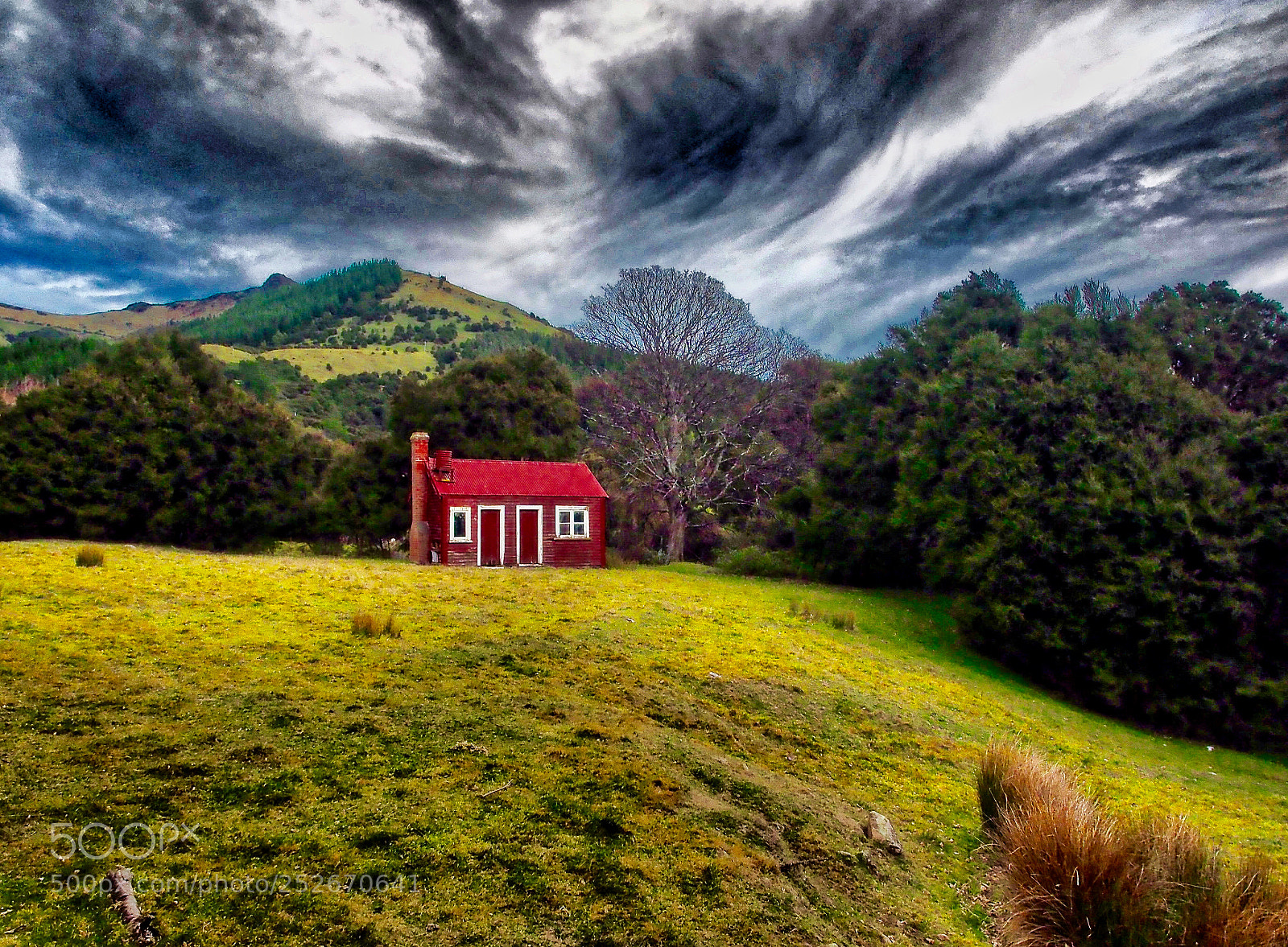 Olympus OM-D E-M1 sample photo. Little red shepherds cottage photography