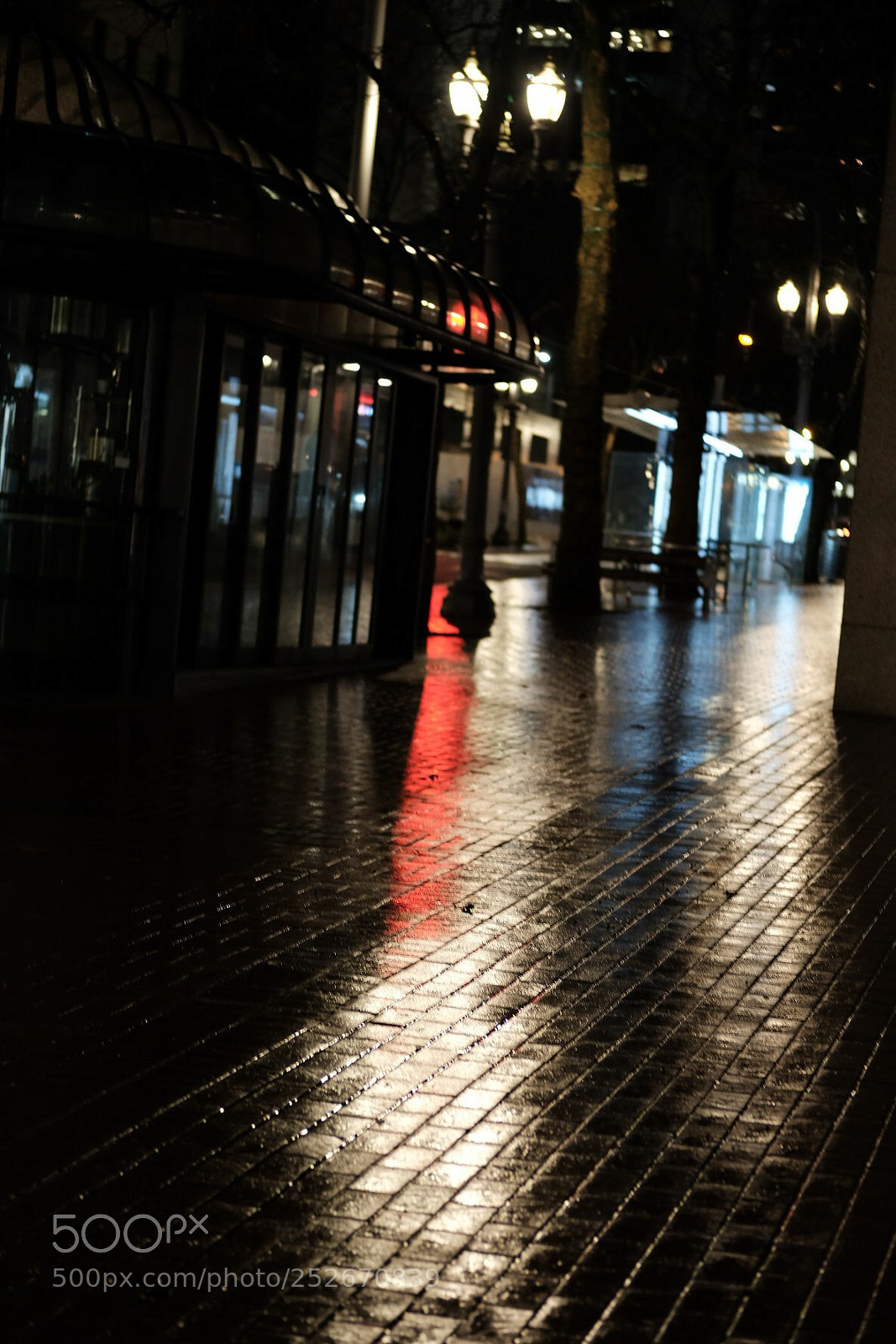Fujifilm X-Pro2 sample photo. Stop photography
