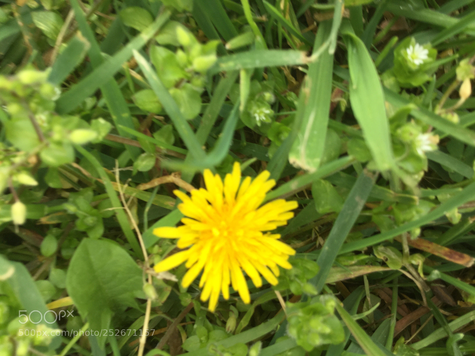 Apple iPod touch sample photo. Beautiful  photography