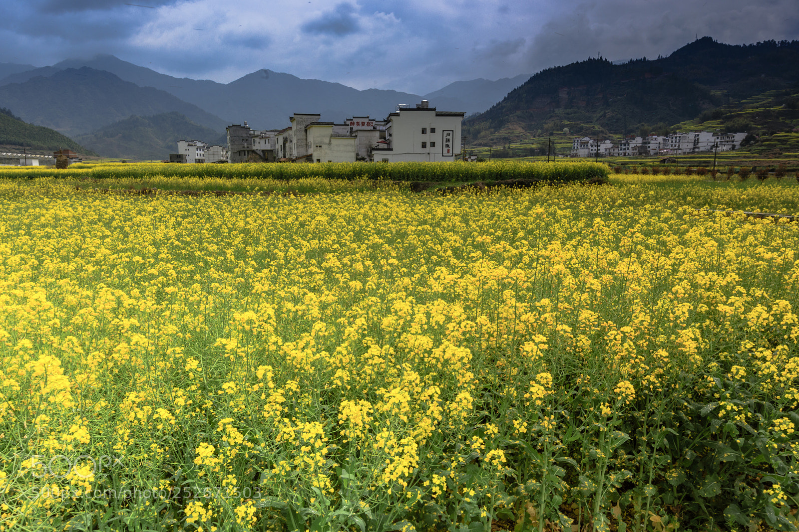 Canon EOS 5D Mark IV sample photo. Untitled photography