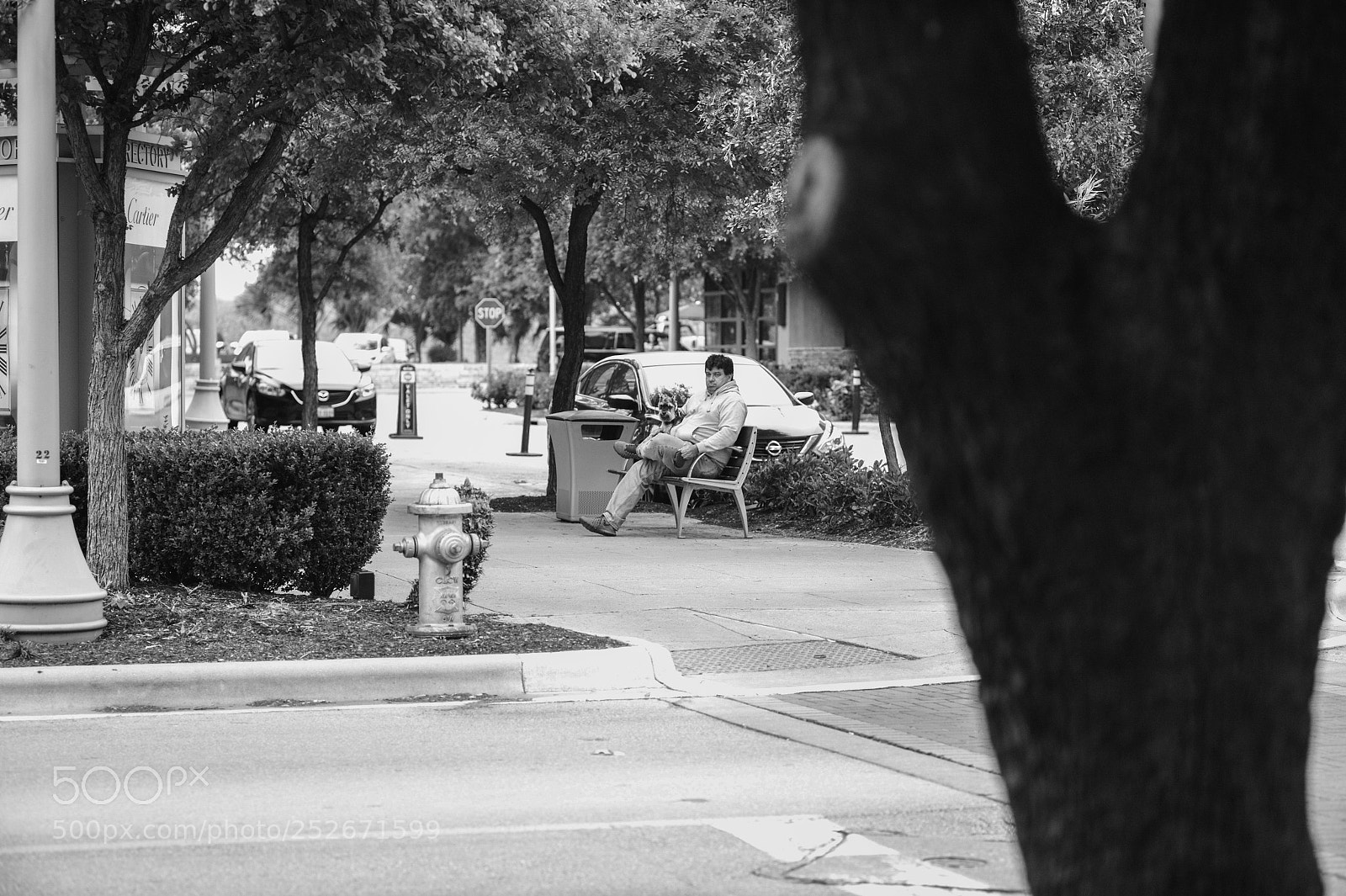 Leica M9 sample photo. Chillin photography