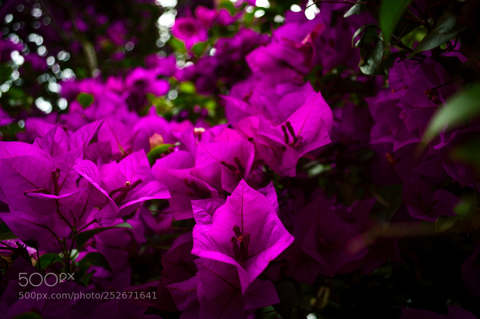Nikon D3200 sample photo. Untitled photography