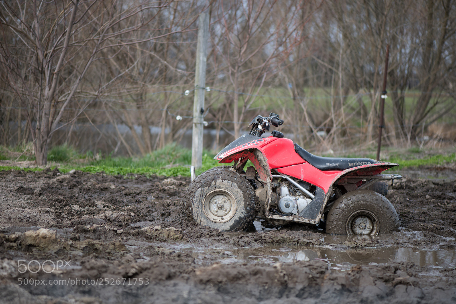Nikon D810 sample photo. Assignment 20 - pasm photography