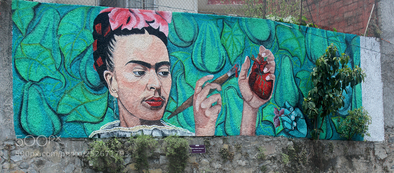 Canon EOS 600D (Rebel EOS T3i / EOS Kiss X5) sample photo. Frida entre chayotes photography