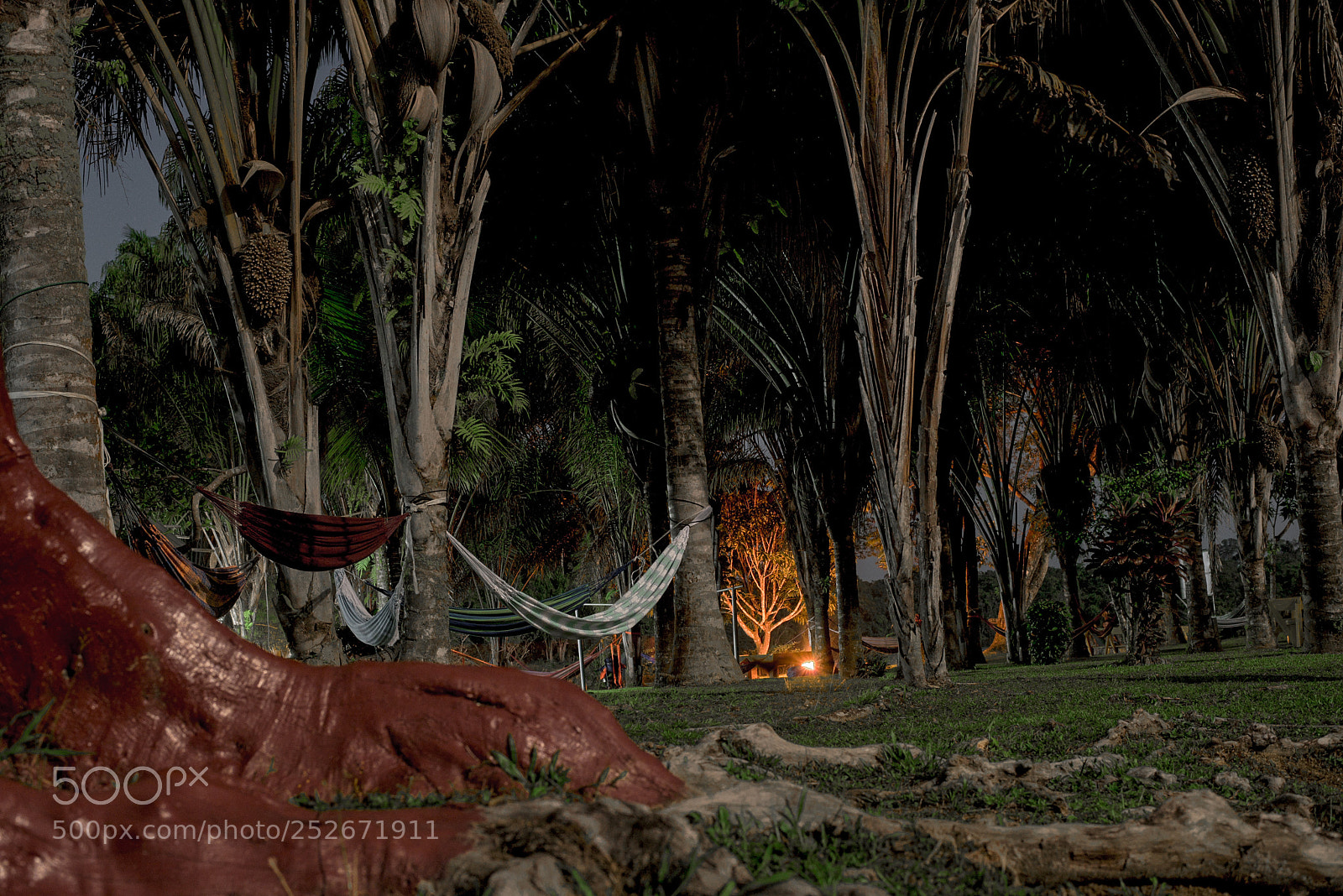 Nikon D810 sample photo. A splendid night photography