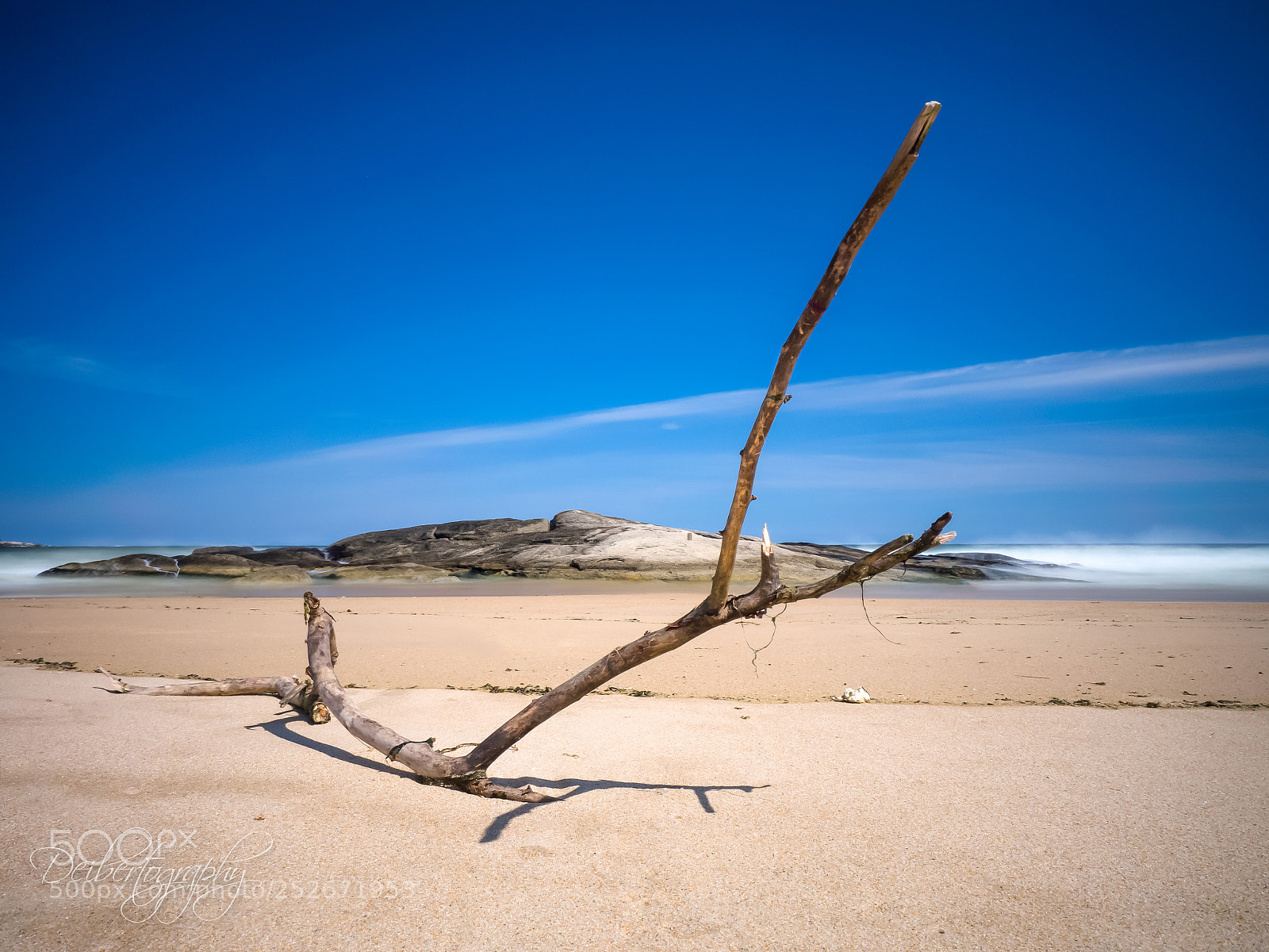 Olympus OM-D E-M1 sample photo. Branch on a beach photography