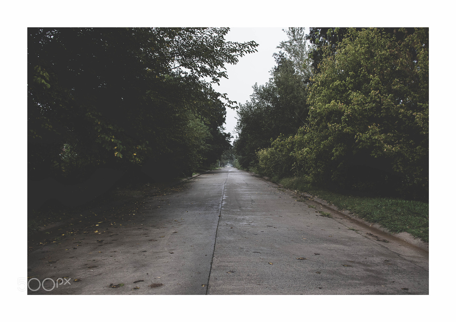 Nikon D7500 sample photo. Camino photography