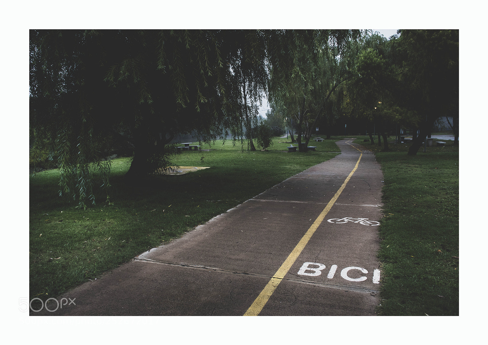 Nikon D7500 sample photo. Camino photography
