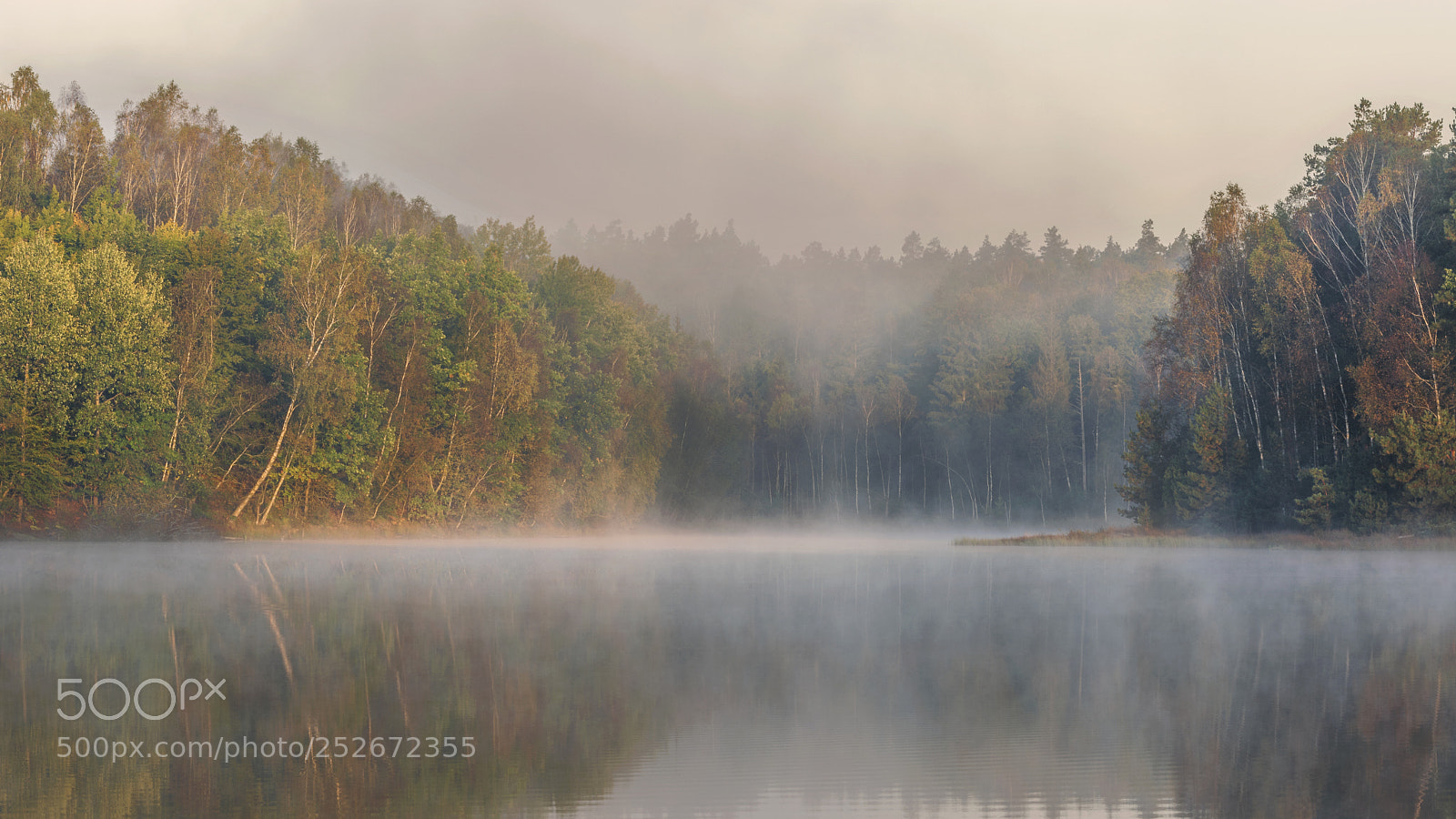 Nikon D5200 sample photo. Foggy morning photography