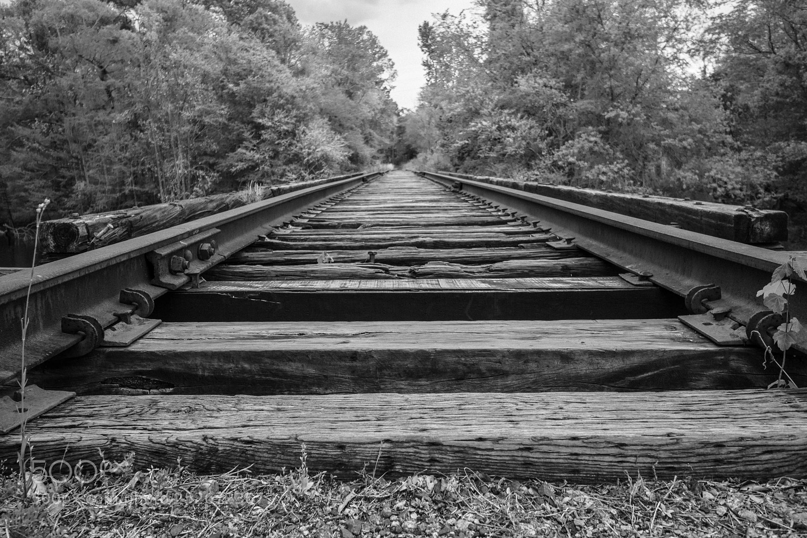 Canon EOS 80D sample photo. Railroad. photography