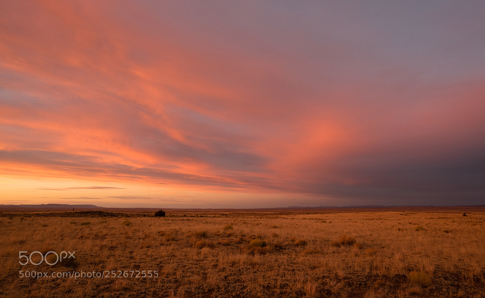Fujifilm X-E2 sample photo. Native southwest photography