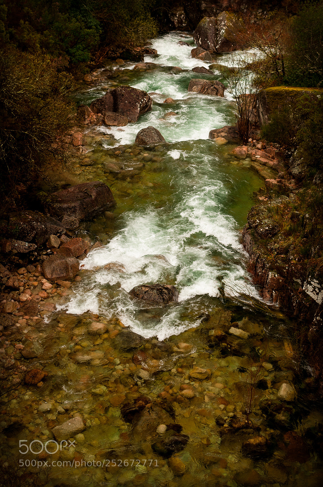 Nikon D90 sample photo. River - feel nature photography