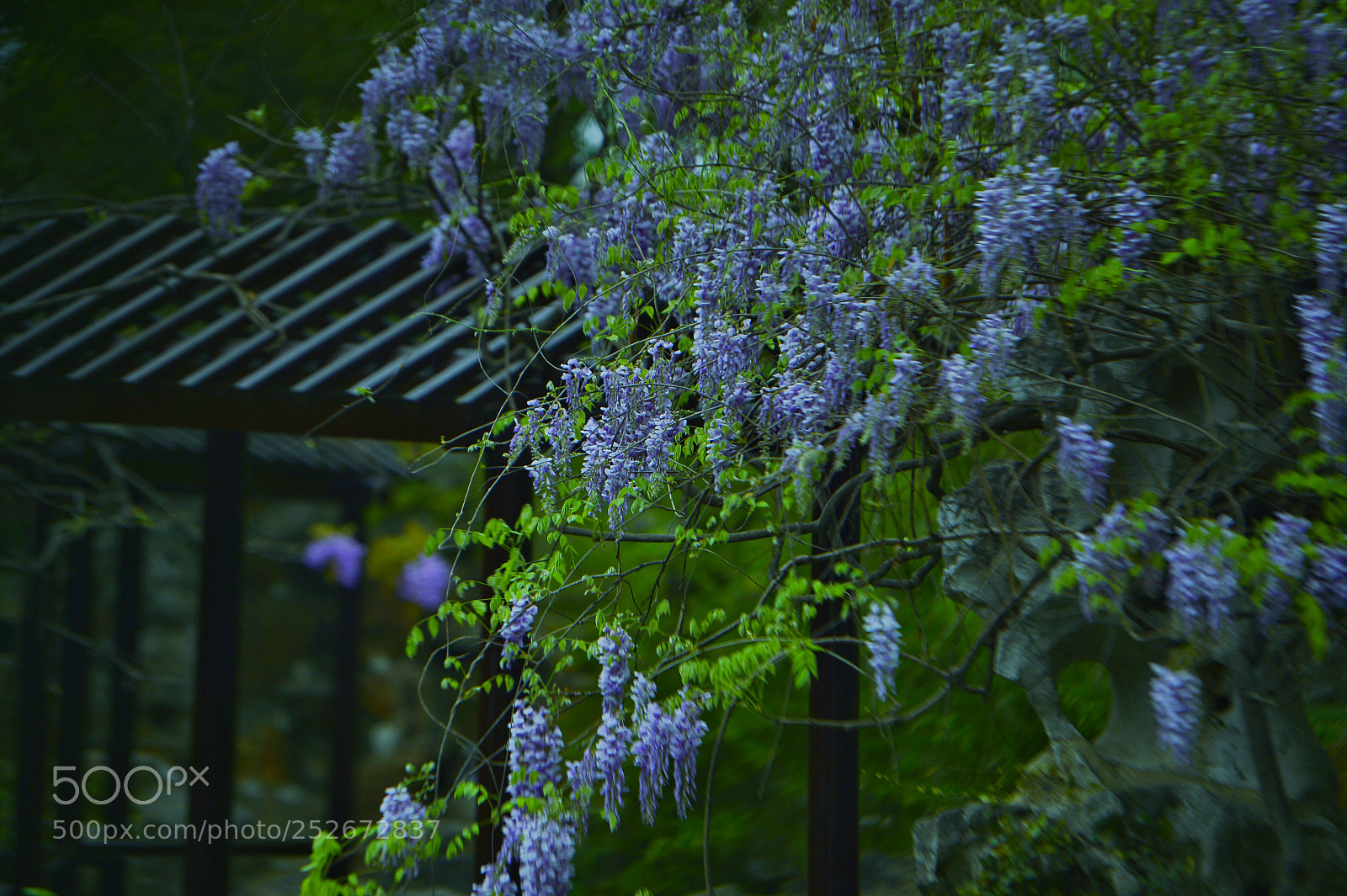 Nikon Df sample photo. Untitled photography