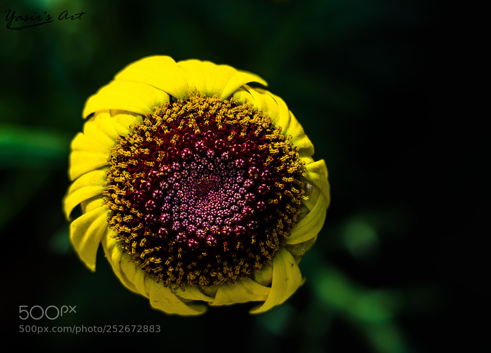 Nikon D7000 sample photo. Untitled photography
