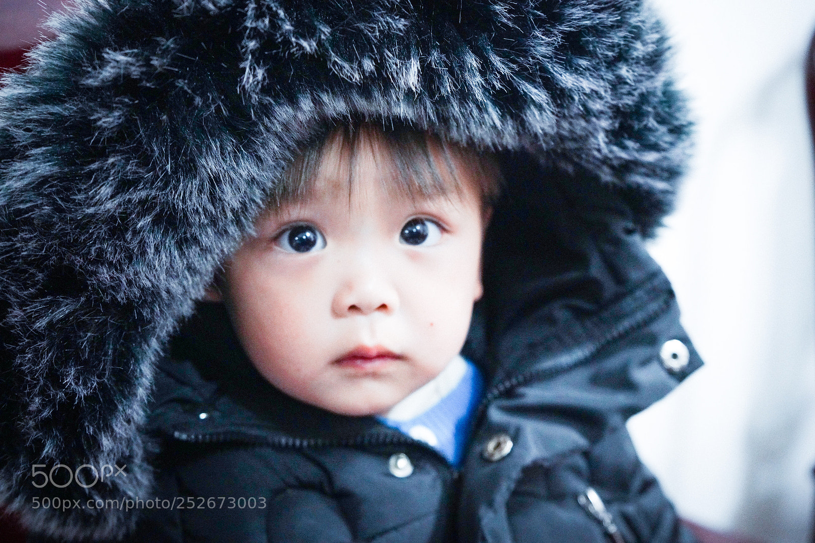 Sony a7R II sample photo. Brother photography