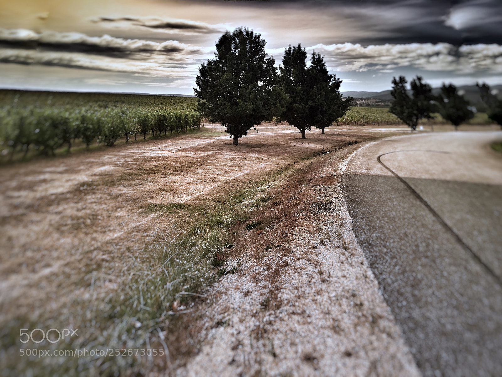 Apple iPhone 6s sample photo. A road less travelled  photography