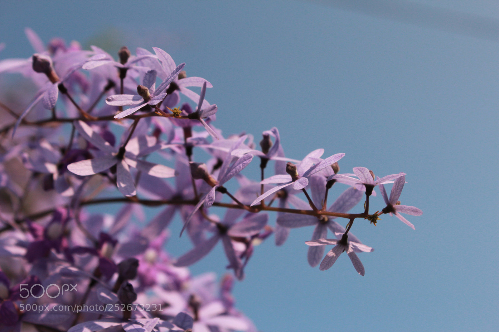 Canon EOS 600D (Rebel EOS T3i / EOS Kiss X5) sample photo. Santa rita photography