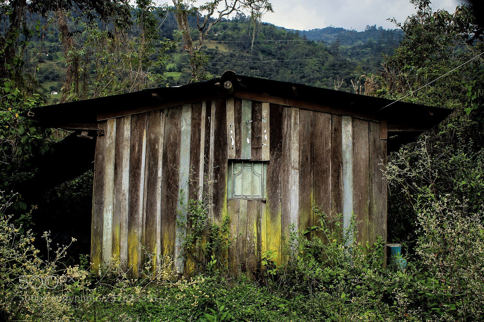 Canon EOS 650D (EOS Rebel T4i / EOS Kiss X6i) sample photo. Witchhouse photography