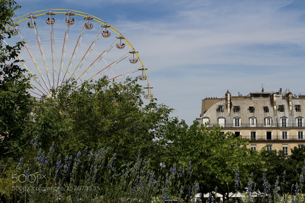 Canon EOS 100D (EOS Rebel SL1 / EOS Kiss X7) sample photo. Summer in paris photography