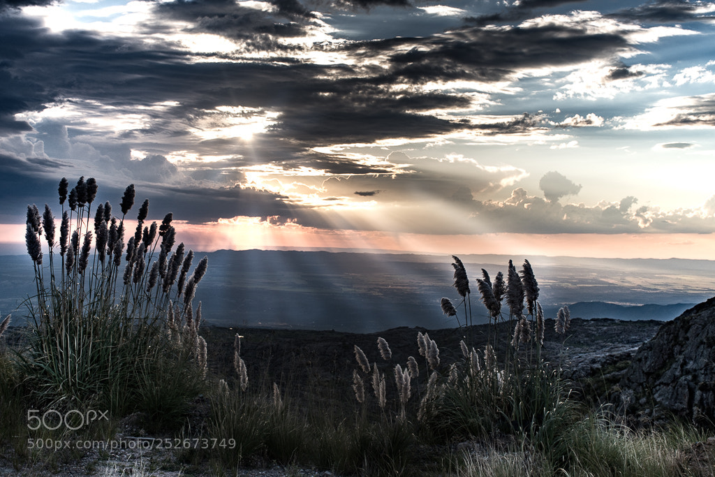 Nikon D7500 sample photo. Atardecer photography