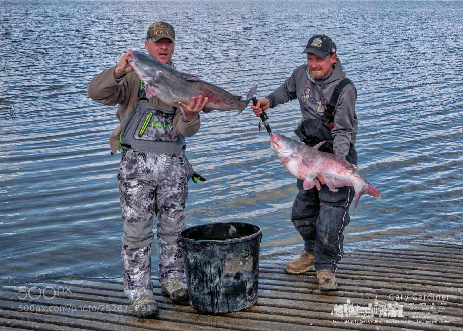 Panasonic Lumix DMC-G85 (Lumix DMC-G80) sample photo. Catfishing winners photography