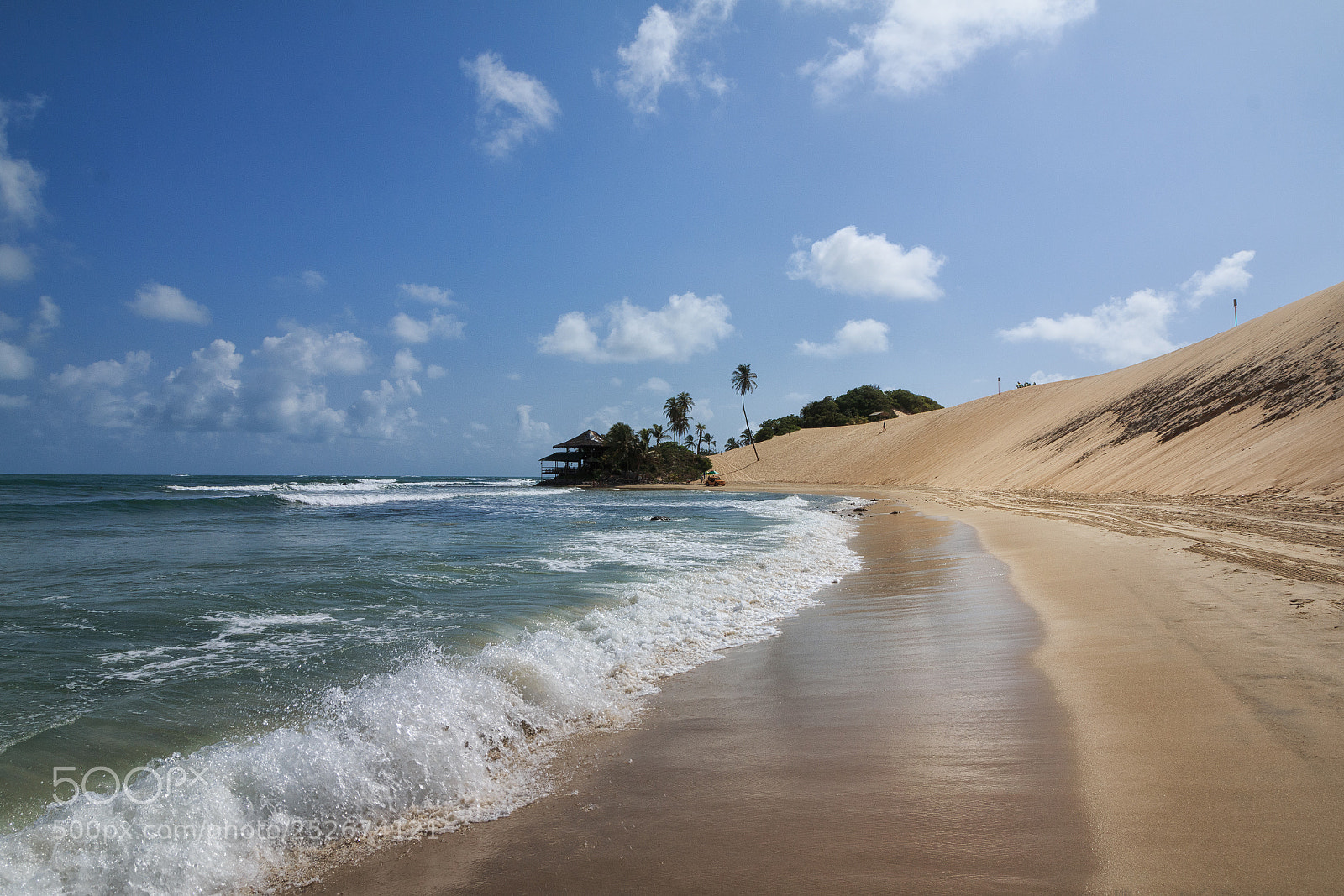 Canon EOS 70D sample photo. The genipabu beach and photography