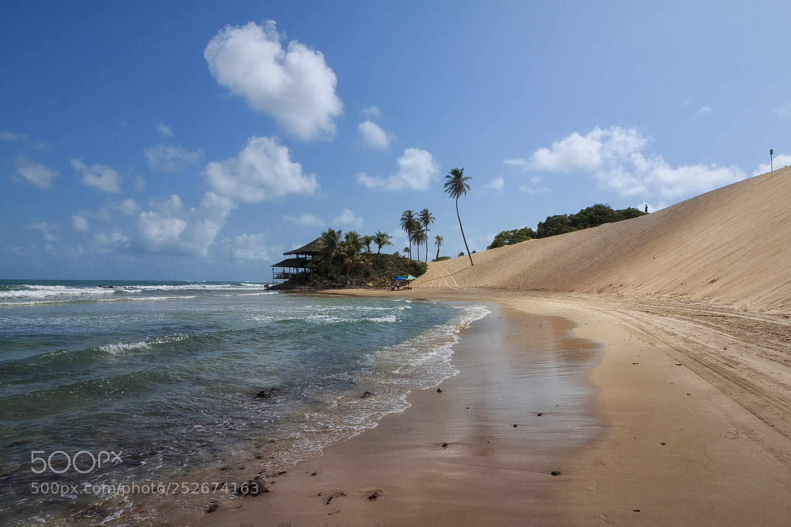 Canon EOS 70D sample photo. The genipabu beach and photography